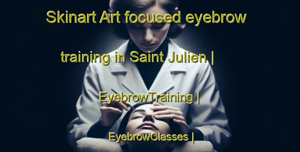 Skinart Art-focused eyebrow training in Saint Julien | EyebrowTraining | EyebrowClasses | SkinartTraining-France